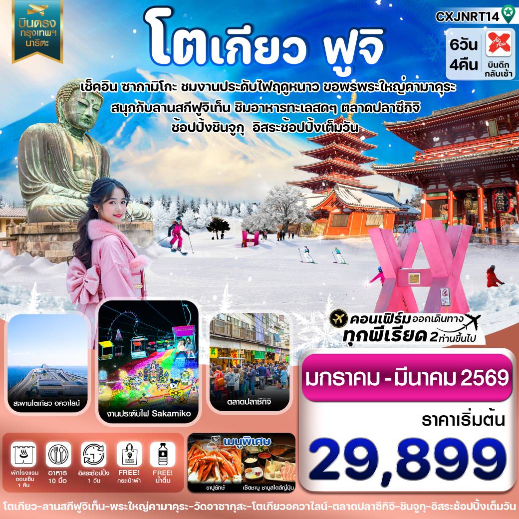 ทัวร์ญี่ปุ่น โตเกียว ฟูจิ งานประดับไฟ อิสระช้อปปิ้ง 1 วันเต็ม 6วัน 4คืน (VZ )