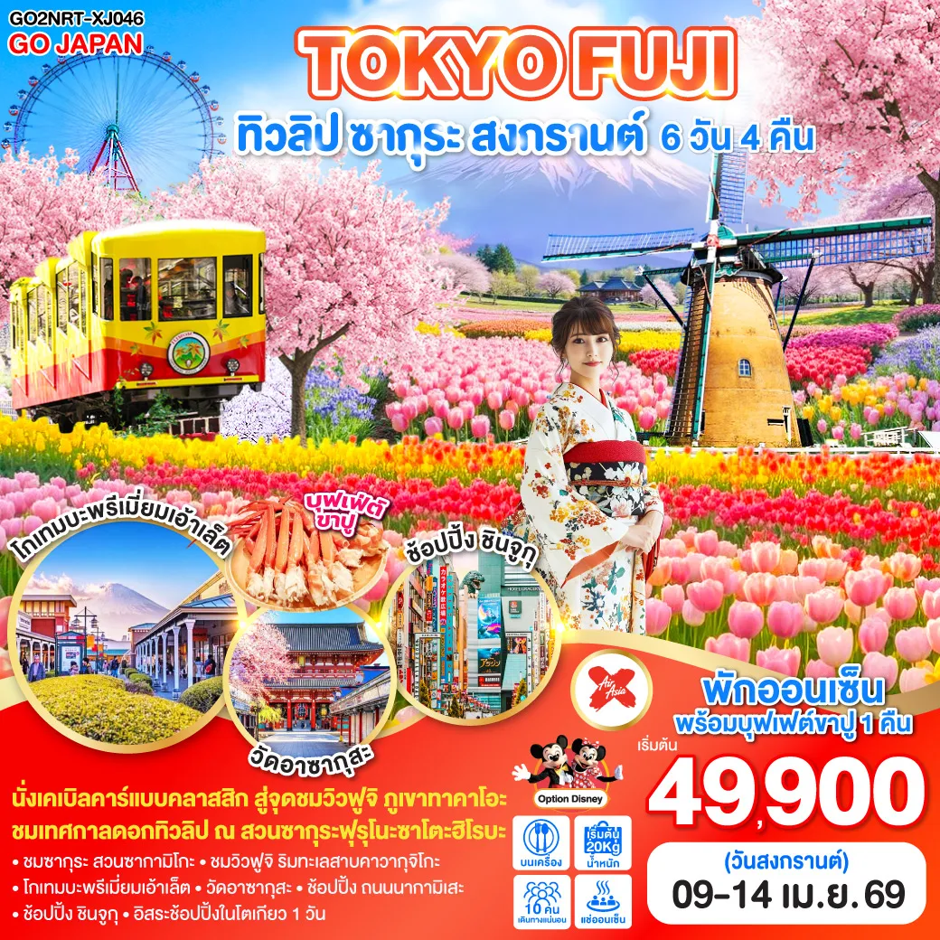 ทัวร์ญี่ปุ่น TOKYO FUJI ทิวลิป ซากุระ สงกรานต์ 6วัน 4คืน (XJ)