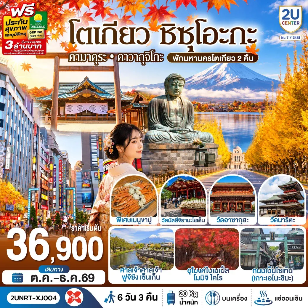 ทัวร์ญี่ปุ่น โตเกียว ชิซุโอะกะ คามาคุระ คาวากุจิโกะ พักมหานครโตเกียว 2 คืน 6 วัน 3 คืน สายการบิน ไทยแอร์เอเชีย เอ็กซ์ 6วัน 3คืน (XJ)